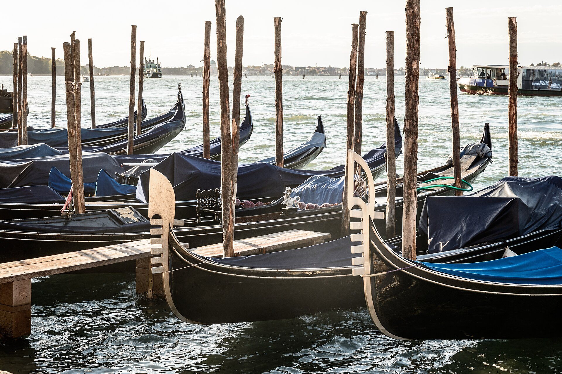 Gondolas moored among the poles at San Marco